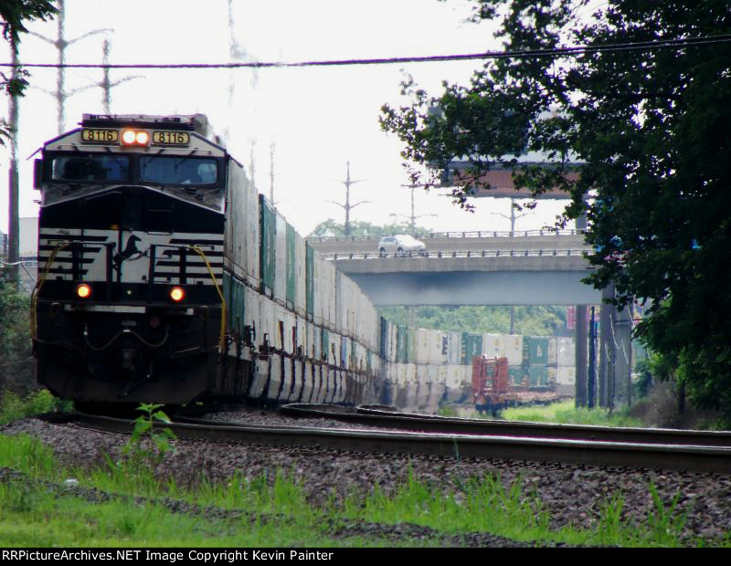 NS 8116
